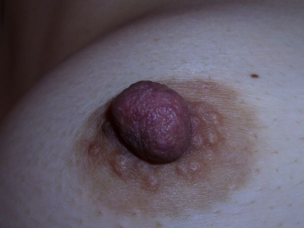 貧乳デカ乳首です | おっぱい見せて